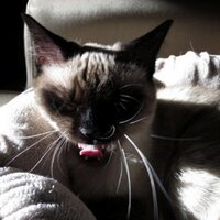 John Powers (@johnpowers) 's Twitter Profile