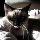 John Powers - @johnpowers - Twitter