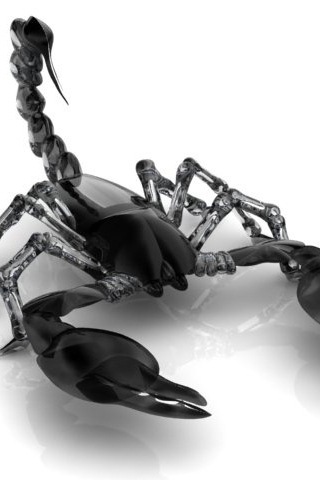 ConnNewton's profile picture. 