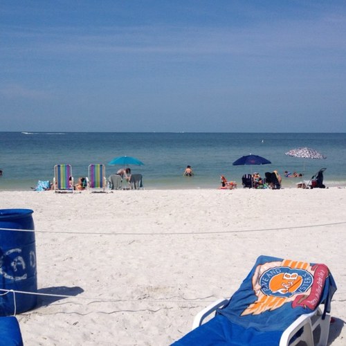 tvilanova2491's profile picture. 