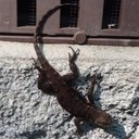 Adam Willson - @willsona2 - Twitter