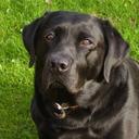 Dee Rodgers - @glakeyjakey - Twitter