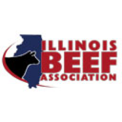 Serving Illinois cattle farmers and building demand for nutritious and delicious beef.

Blog: http://t.co/dDW3OwrOth