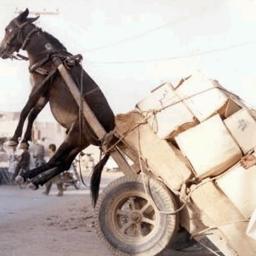 FarmDonkey's profile picture. Outraged lefty. Staunch NHS & Public Sector supporter. Educator in economics & blogger. Terrified of the fascism growing in our country and the western world.