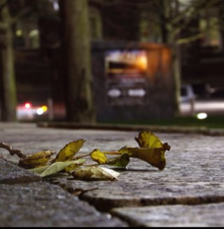 macpix1981's profile picture. Just new to twitter to share my new hobby of photography. You can also follow me on instagram andyrfc1981 All photos are copyright.