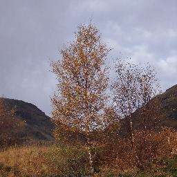 I like to travel with my caravan. The blog tells of where I go and what I do there.