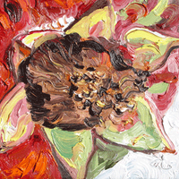 Lese Corrigan (@misslese) 's Twitter Profile Photo