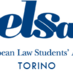 Elsa Torino (@elsatorino) Twitter profile photo Elsa Torino (@elsatorino) Twitter profile photo