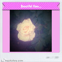 sandra luck - @fapiycsu - Twitter