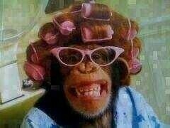 HHansley's profile picture. 