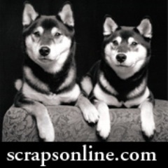 SeattleScraps's profile picture. Scraps is Seattle's premier destination for Pet nutrition, necessities, and accessories.  Located in burgeoning South Lake Union, above the Downtown WholeFoods.