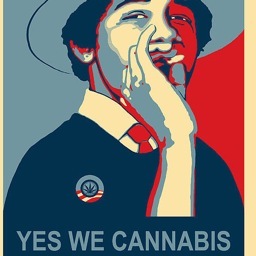 Follow if you support open debate around decriminalisation/legalising of cannabis in the UK. All with an opinion welcome. At 100,000 we take it to Parliament!