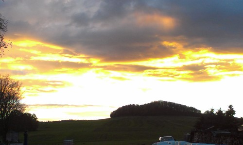 Florian13486802's profile picture. 