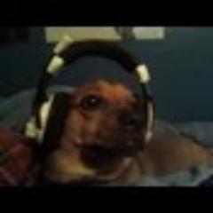 could every one go look at my Call of Duty Black Ops 2 MP5 Challenge at http://t.co/dnwEBFeS
