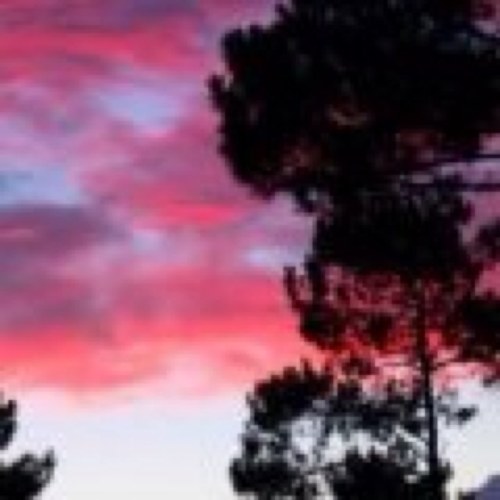 Lumiair1's profile picture. Photography World