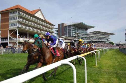 Value is the key to making profit, we only ever back horses that we believe have a better chance of winning than the bookmakers price suggest. 📉🐎