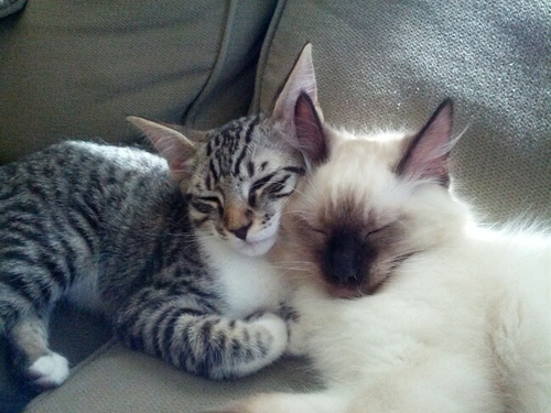 KatieKido's profile picture. 