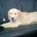 deb ross - @doobieross41 - Twitter