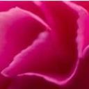 Erin Rader - @ErinRader1 - Twitter