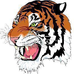Notice: This account is not officially affiliated with Carthage High School, the Carthage Tigers sports programs or the Carthage R-9 School District.