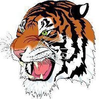 Carthage Tigers (@carthagetigers) 's Twitter Profile