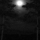 Marla Diamond - @MarlaDiamond - Twitter