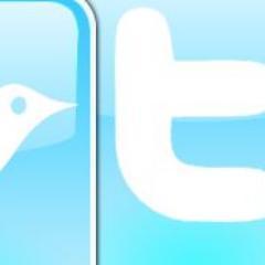 thbestretweets's profile picture. 