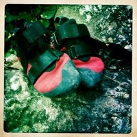 Mateja Gravner (@matejagravner) 's Twitter Profile