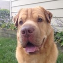 Whitney Voss - @SaucyVossy - Twitter