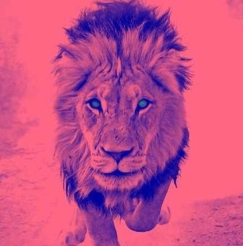 Gnote_'s profile picture. strictly for the Movement of the Royal Diasporan Brotherhood=RDB