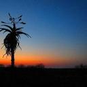 John Pray - @japray21 - Twitter