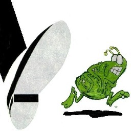 statewidepestnv's profile picture. Locally owned and operated. Established 1994. Taking care of Reno/Tahoe area for almost 20 years. Founded by Greg Jepsen. Safe, effective & affordable treatment