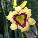 Don Schell - @Don19657 - Twitter