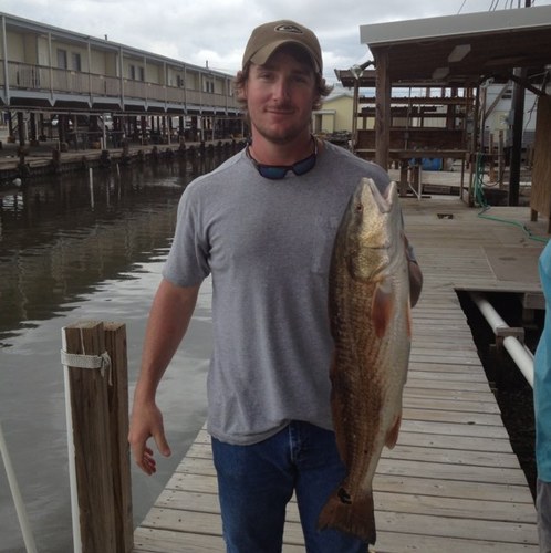 bbutler2590's profile picture. 