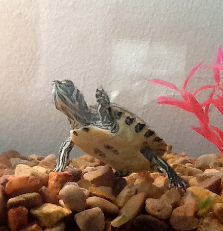 sensoryinput_'s profile picture. 