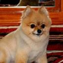 nancy quillen - @mommom1 - Twitter