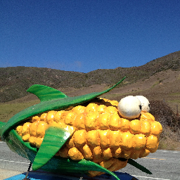 Spawned in 2011 by the DC51 Artist Collective, I swam to California to raise awareness about GMO labeling & now http://t.co/PuP1xDcABx  Some call me #CornFish