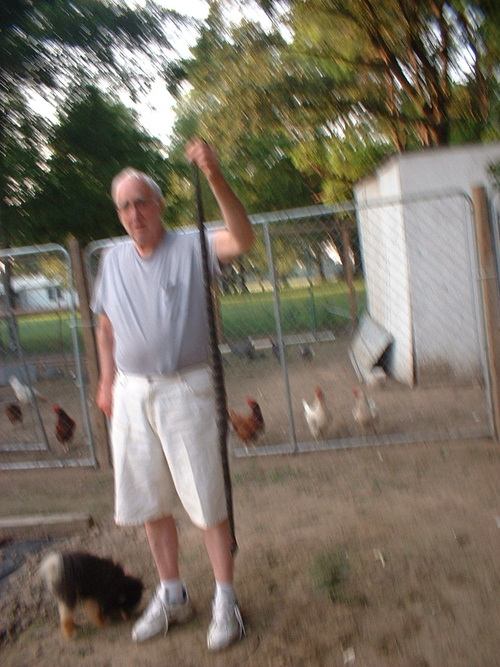 delnorte33's profile picture. Old enough to know why we are all on this planet.