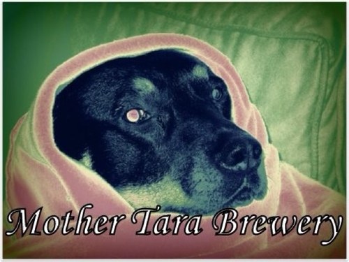 Bigbigboss999C's profile picture. 