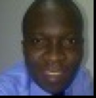 daporkitz's profile picture. 