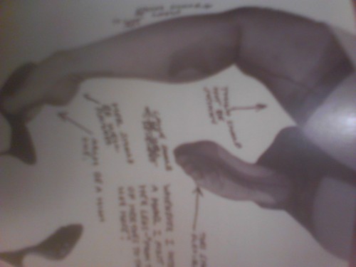 Phlegmghost's profile picture. Quasi lateral physicist/