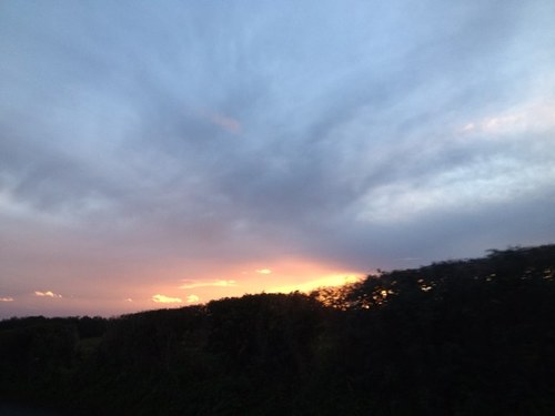 tasha803's profile picture. 