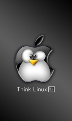 sasaeskic's profile picture. 