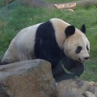 Mel (@melcoutts) 's Twitter Profile