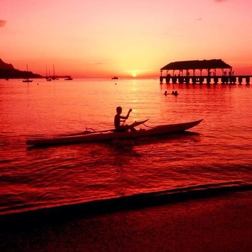 shiftdelete_34's profile picture. 