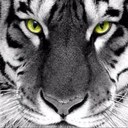 Andrew Coates - @AC130_EXPERT - Twitter