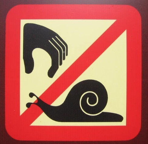 sgazzetti's profile picture. Apparently descended from apes? Mercator’s projection hater. Grice’s maxims fan. Proud Army vet (not that kind). Like patience on a monument.