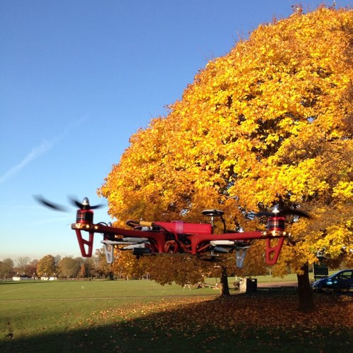 rep001's profile picture. 