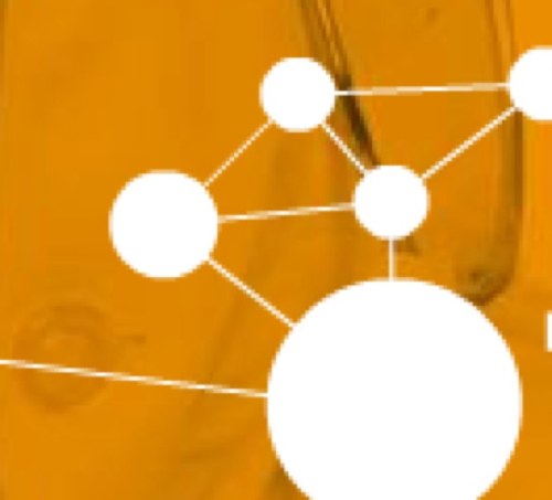 innovacare's profile picture. 