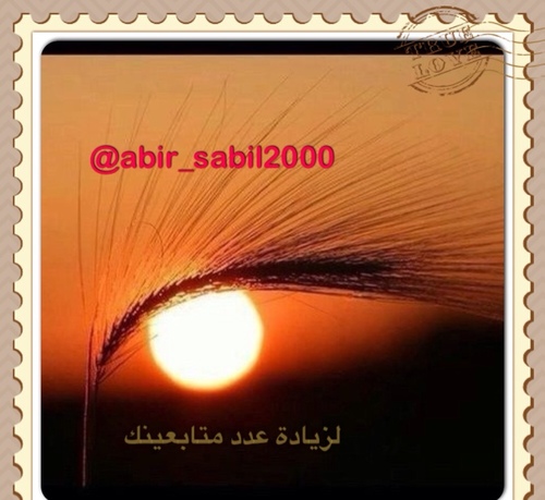 عابر سبيل